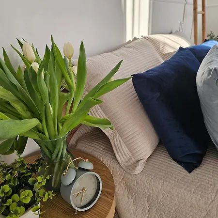 Przy Parkowej W Centrum Niechorza Blisko Plazy *