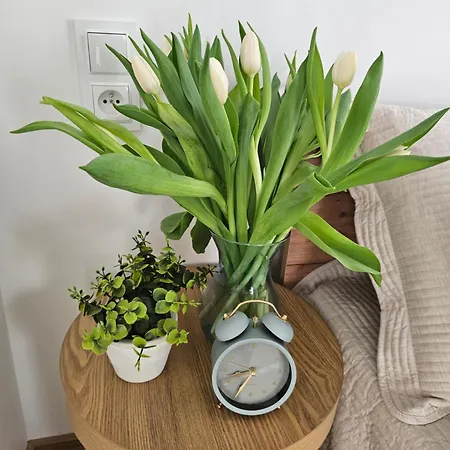 Przy Parkowej W Centrum Niechorza Blisko Plazy * Niechorze