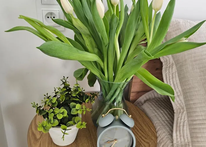 Przy Parkowej W Centrum Niechorza Blisko Plazy * Niechorze